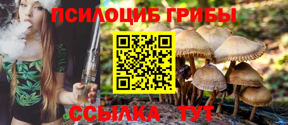 Галлюциногенные грибы MAGIC MUSHROOMS  Псилоцибиновые грибы GOLDEN TEACHER  Вход с VPN  Батайск 